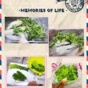 ヒメ日記 2025/01/16 12:28 投稿 寧々 Picasso(ピカソ)