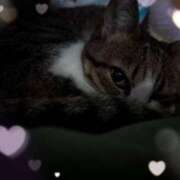 ヒメ日記 2025/01/16 16:06 投稿 寧々 Picasso(ピカソ)