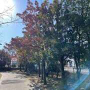 ヒメ日記 2025/01/16 20:36 投稿 寧々 Picasso(ピカソ)