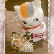 ヒメ日記 2025/01/18 13:06 投稿 寧々 Picasso(ピカソ)