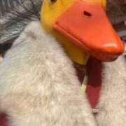 ヒメ日記 2025/01/18 23:00 投稿 寧々 Picasso(ピカソ)