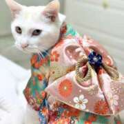 ヒメ日記 2025/01/20 12:33 投稿 寧々 Picasso(ピカソ)