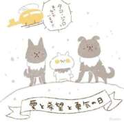 ヒメ日記 2025/01/23 12:15 投稿 寧々 Picasso(ピカソ)