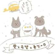 ヒメ日記 2025/01/23 12:26 投稿 寧々 Picasso(ピカソ)