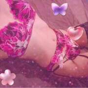 ヒメ日記 2025/01/23 15:49 投稿 寧々 Picasso(ピカソ)