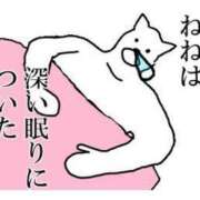 ヒメ日記 2025/01/25 05:36 投稿 寧々 Picasso(ピカソ)