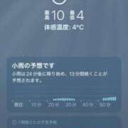 ヒメ日記 2025/01/27 15:06 投稿 寧々 Picasso(ピカソ)