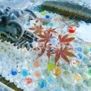 ヒメ日記 2025/01/27 23:06 投稿 寧々 Picasso(ピカソ)