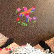 ヒメ日記 2025/01/31 17:00 投稿 寧々 Picasso(ピカソ)