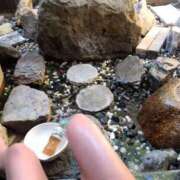 ヒメ日記 2025/02/03 18:06 投稿 寧々 Picasso(ピカソ)