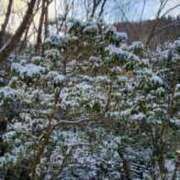 ヒメ日記 2025/02/10 12:26 投稿 寧々 Picasso(ピカソ)