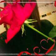 ヒメ日記 2025/02/12 03:37 投稿 寧々 Picasso(ピカソ)