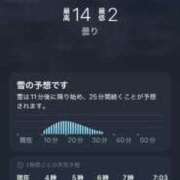 ヒメ日記 2025/02/12 04:15 投稿 寧々 Picasso(ピカソ)