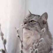 ヒメ日記 2025/02/15 12:15 投稿 寧々 Picasso(ピカソ)