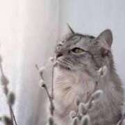 ヒメ日記 2025/02/15 12:26 投稿 寧々 Picasso(ピカソ)