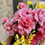 ヒメ日記 2025/02/19 12:00 投稿 寧々 Picasso(ピカソ)