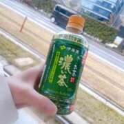 ヒメ日記 2025/02/22 11:17 投稿 寧々 Picasso(ピカソ)