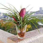 ヒメ日記 2025/02/22 12:15 投稿 寧々 Picasso(ピカソ)