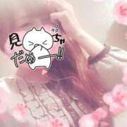 ヒメ日記 2025/02/22 22:16 投稿 寧々 Picasso(ピカソ)