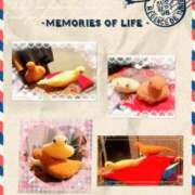 ヒメ日記 2025/02/26 11:08 投稿 寧々 Picasso(ピカソ)