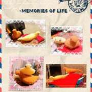 ヒメ日記 2025/02/26 11:26 投稿 寧々 Picasso(ピカソ)