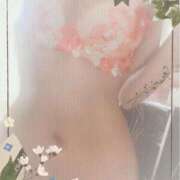 ヒメ日記 2025/03/08 23:00 投稿 寧々 Picasso(ピカソ)