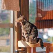 ヒメ日記 2025/03/10 15:00 投稿 寧々 Picasso(ピカソ)