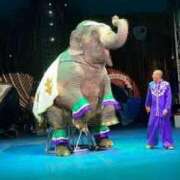 ヒメ日記 2025/03/13 12:15 投稿 寧々 Picasso(ピカソ)