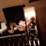 ヒメ日記 2025/03/15 15:00 投稿 寧々 Picasso(ピカソ)