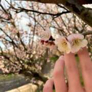 ヒメ日記 2025/03/15 22:00 投稿 寧々 Picasso(ピカソ)