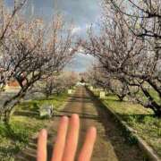 ヒメ日記 2025/03/15 23:00 投稿 寧々 Picasso(ピカソ)