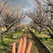 ヒメ日記 2025/03/15 23:16 投稿 寧々 Picasso(ピカソ)