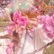 ヒメ日記 2025/03/18 16:06 投稿 寧々 Picasso(ピカソ)