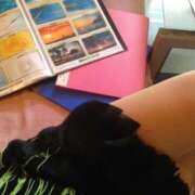 ヒメ日記 2025/03/19 17:33 投稿 寧々 Picasso(ピカソ)