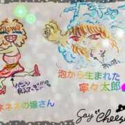 ヒメ日記 2025/03/19 18:16 投稿 寧々 Picasso(ピカソ)