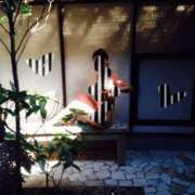 ヒメ日記 2025/03/23 23:00 投稿 寧々 Picasso(ピカソ)