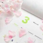 ヒメ日記 2025/03/26 12:27 投稿 寧々 Picasso(ピカソ)