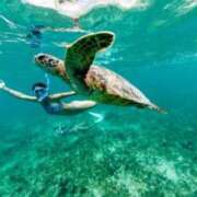 ヒメ日記 2025/03/26 23:18 投稿 寧々 Picasso(ピカソ)