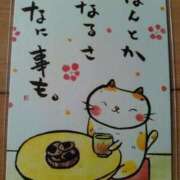 ヒメ日記 2025/03/27 19:16 投稿 寧々 Picasso(ピカソ)