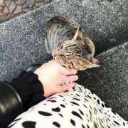 ヒメ日記 2025/03/30 20:06 投稿 寧々 Picasso(ピカソ)