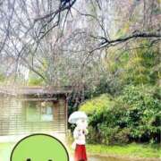 ヒメ日記 2025/04/02 19:46 投稿 寧々 Picasso(ピカソ)