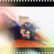 ヒメ日記 2025/04/03 16:16 投稿 寧々 Picasso(ピカソ)