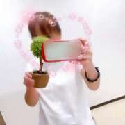 ヒメ日記 2025/04/08 18:51 投稿 寧々 Picasso(ピカソ)