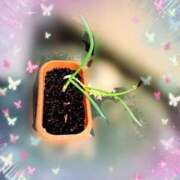 ヒメ日記 2025/04/27 22:16 投稿 寧々 Picasso(ピカソ)