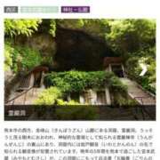 ヒメ日記 2025/05/05 14:16 投稿 寧々 Picasso(ピカソ)