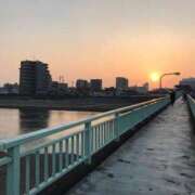 ヒメ日記 2025/05/12 23:00 投稿 寧々 Picasso(ピカソ)