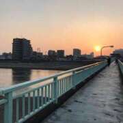 ヒメ日記 2025/05/12 23:06 投稿 寧々 Picasso(ピカソ)