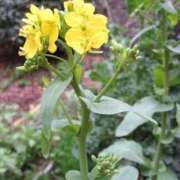 ヒメ日記 2025/05/13 12:33 投稿 寧々 Picasso(ピカソ)