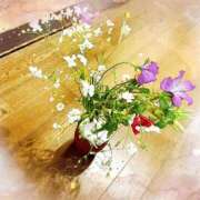 ヒメ日記 2025/05/16 15:00 投稿 寧々 Picasso(ピカソ)