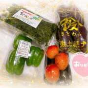 ヒメ日記 2025/05/19 00:03 投稿 寧々 Picasso(ピカソ)